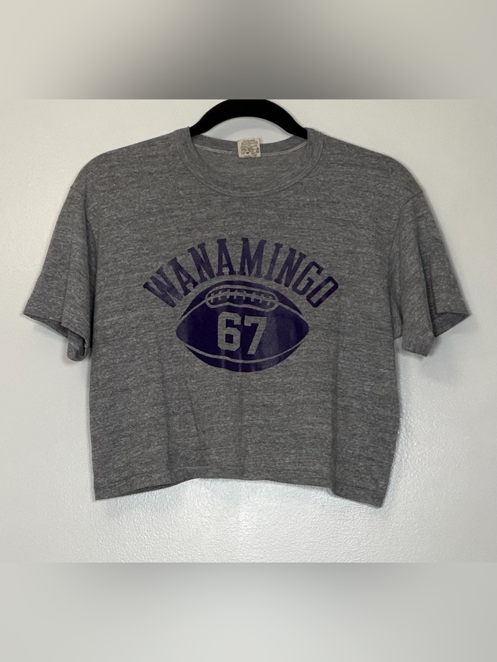 Vintage Russell Athletic Grey Cropped Tee with Purple Football Graphic